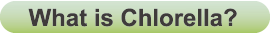 What is Chlorella?